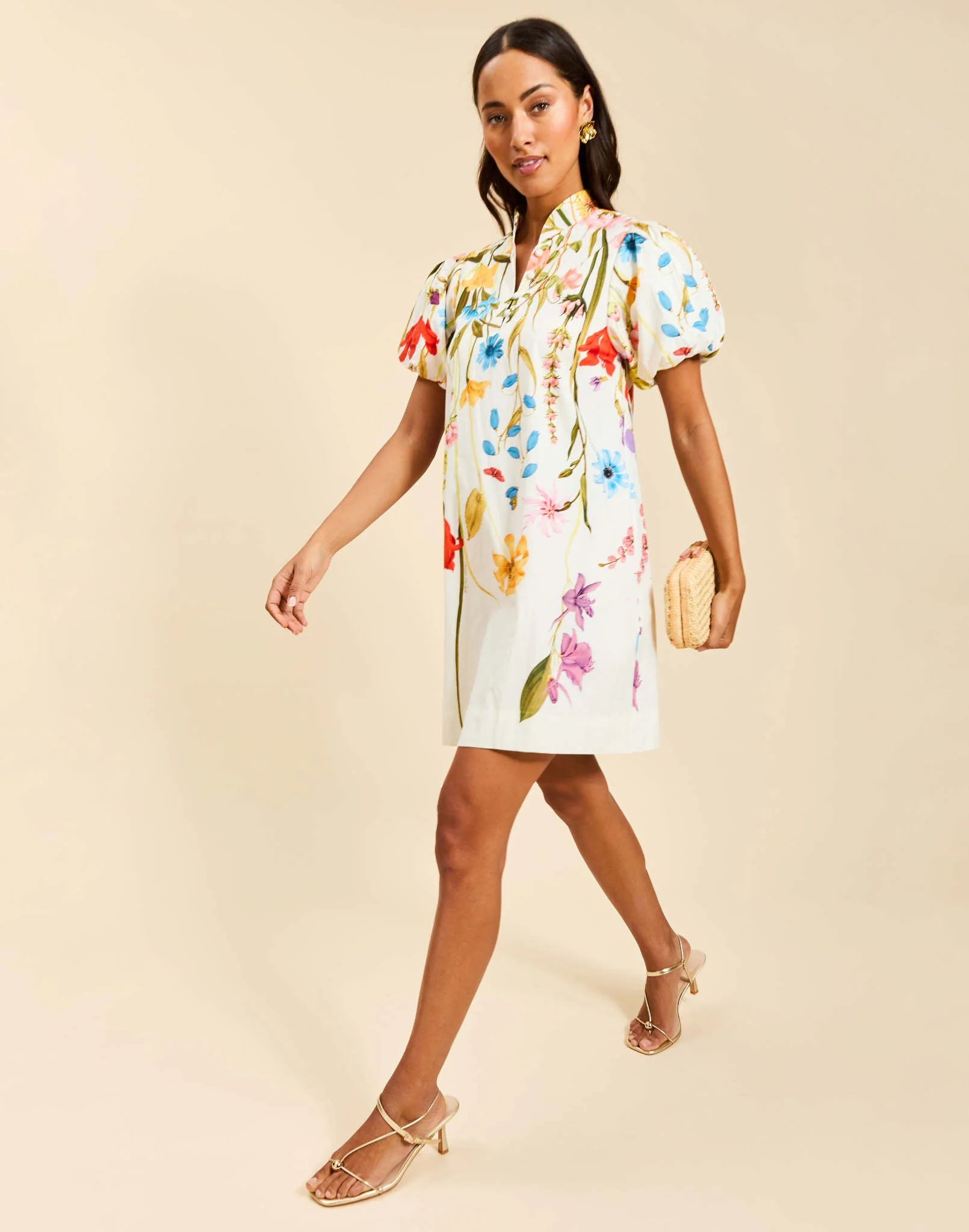 Elliana Printed Mini Dress
